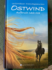 Stwind aufbruch kristina gebraucht kaufen  Sommerhausen