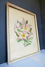 Vintage mauve iris for sale  Casper
