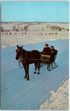 Postcard amish horse for sale  Stevens Point