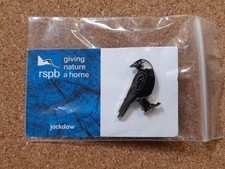 Rspb jackdaw gnah for sale  YORK