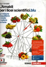 Amaldi per licei usato  Sessa Aurunca