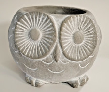 Owl succulent planter for sale  Walkerton