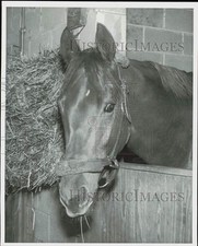 stall front for sale stall front for sale Memphis