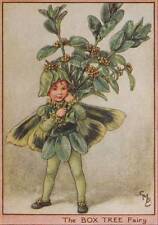 Flower fairies box for sale  MOLD