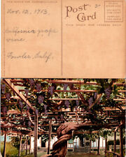 Vintage california grape for sale  Stockton