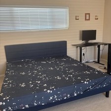 Natural latex extra for sale  Redmond