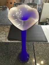 Große glasvase blau gebraucht kaufen  Biberbach
