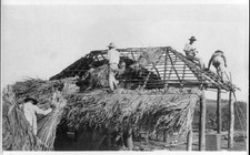 Constructing thatch roof for sale  USA