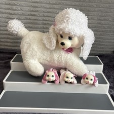 Puppy surprise white for sale  SOUTHEND-ON-SEA
