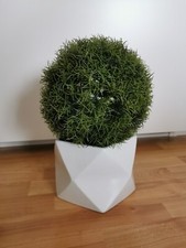 Deko grasbündel topf gebraucht kaufen  Karlsruhe