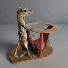 alligator taxidermy for sale  Wahkon