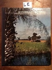 Everglades florida carr usato  Roma