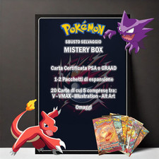Pokemon tcg lotto usato  Olgiate Olona