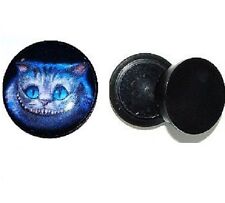 New cheshire cat for sale  UK