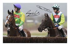 Kauto star denman for sale  FOLKESTONE