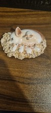 Basil matthews pig for sale  MAIDSTONE