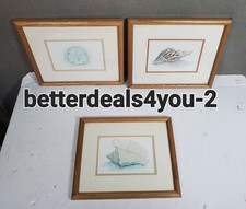 Morgan seashell art for sale  Hemet
