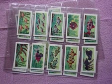 Complete set united for sale  NEWBURY