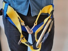 Gemtor 541c rescue for sale  Orlando