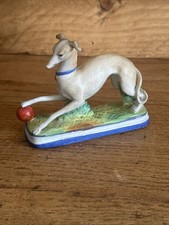 Whippet italian greyhound for sale  AYLESFORD