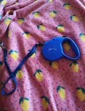 Blue flexi dog for sale Blue flexi dog for sale  ENNISKILLEN