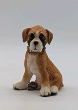 Boxer puppy dog for sale  Casa Grande