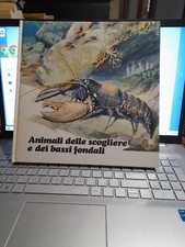 Animali delle scogliere usato  Campolongo Tapogliano