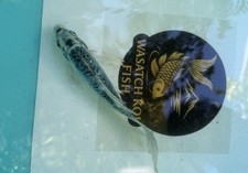 Light blue butterfly for sale  Salt Lake City