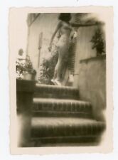 Photo snapshot ratée d'occasion  Avignon