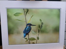 Original fine art for sale  BRISTOL