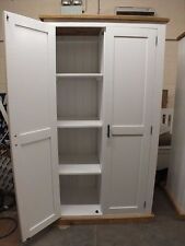Shabby painted door for sale  CANNOCK