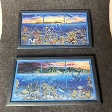 Robert lyn nelson for sale  Fallbrook