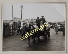 Horse cart cattle for sale  LLANWRTYD WELLS