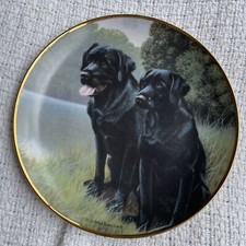 Sporting companions nigel for sale  North Port