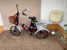 Elektro fahrrad erwachsene gebraucht kaufen  Görwihl