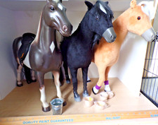 Horses choise battat for sale  Richland