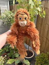 Ravensden suma orangutan for sale  DERBY