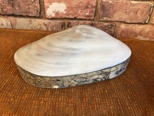Large shell trinket for sale  MANCHESTER