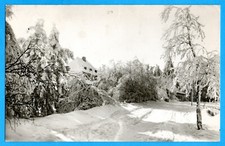 Georgenfeld 1960 winterlandsch gebraucht kaufen  Bad Schandau