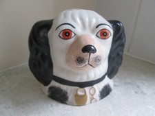 Staffordshire spaniel dog for sale  DAVENTRY