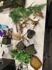 Bulk reptile tarantula for sale  Granbury