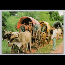 Cartão postal vintage Paraguai Carretas Típicas cultura não publicada etnias cênicas, usado comprar usado Cartão postal vintage Paraguai Carretas Típicas cultura não publicada etnias cênicas, usado comprar usado  Enviando para Brazil