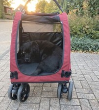 Hundebuggy neuwertig hunde gebraucht kaufen  Horneburg