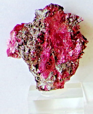 Ceeb1 20g erythrine d'occasion  Tournefeuille