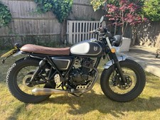 Mutt mastif 125 for sale  SOUTHAMPTON