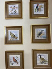 Assortment painted birds for sale  Las Vegas