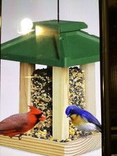 Bird feeders outside for sale  Zapata