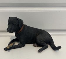 Sherratt simpson labrador for sale  STANFORD-LE-HOPE