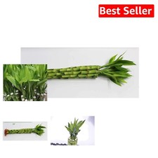 Hand picked green for sale  Grand Blanc
