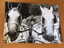 Franck alamo astérix d'occasion Franck alamo astérix d'occasion  Benassay